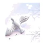 Broche Blanche Colombe