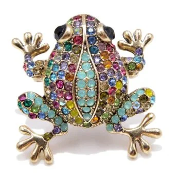 Broche Grenouille Fantaisie